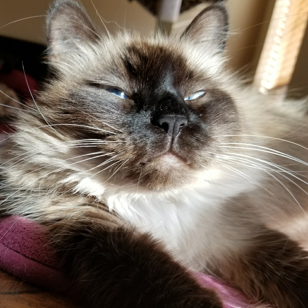 Meet your Posher, Jacque